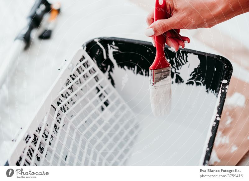 Nahaufnahme einer Frau, die einen Malerpinsel zur Verbesserung hält und Wände mit weißer Farbe streicht. Do it yourself und neues Wohnkonzept Malerei Eimer