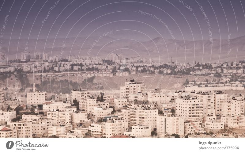 Jerusalem Umwelt Landschaft Sommer Hügel Berge u. Gebirge Wüste Israel Naher und Mittlerer Osten Wohnsiedlung Häusliches Leben Stadt Hauptstadt Stadtrand