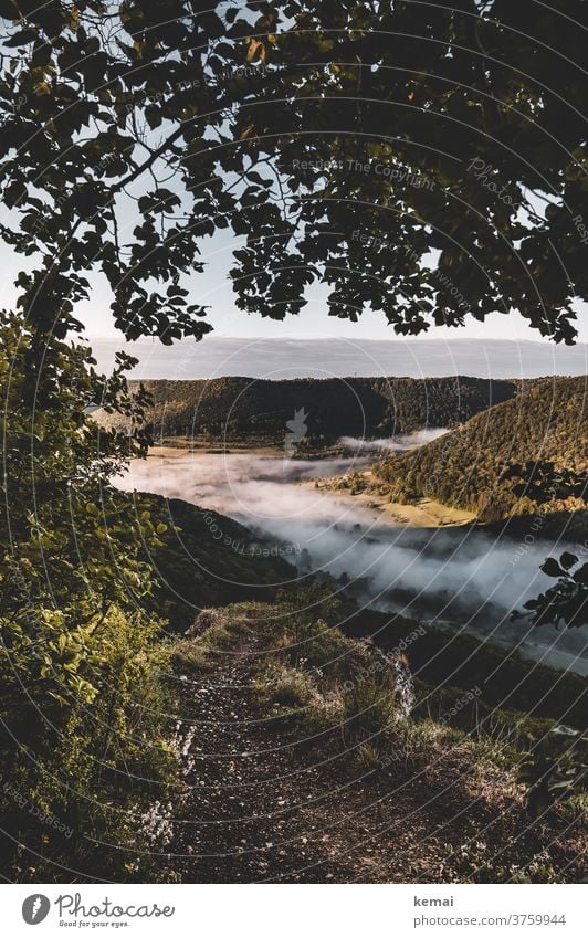 Der Blick ins Tal mit Nebel Morgennebel Frühnebel Licht Schatten Frühling grün Baum Wald Landschaft frisch leuchten Natur Menschenleer Umwelt Stimmung