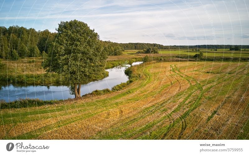 Sommerhintergrund mit Erlenbaum am Flussufer. Landwirtschaftliche Felder nach der Ernte Baum Herbst fallen sonnig Wasser September Natur Reflexion & Spiegelung