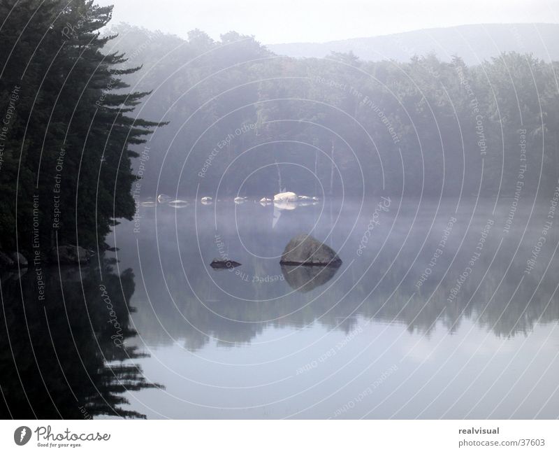 In der Ruhe liegt die Kraft II Morgen Spiegelbild Sommermorgen Wasser blaue Stimmung Morgendämmerung