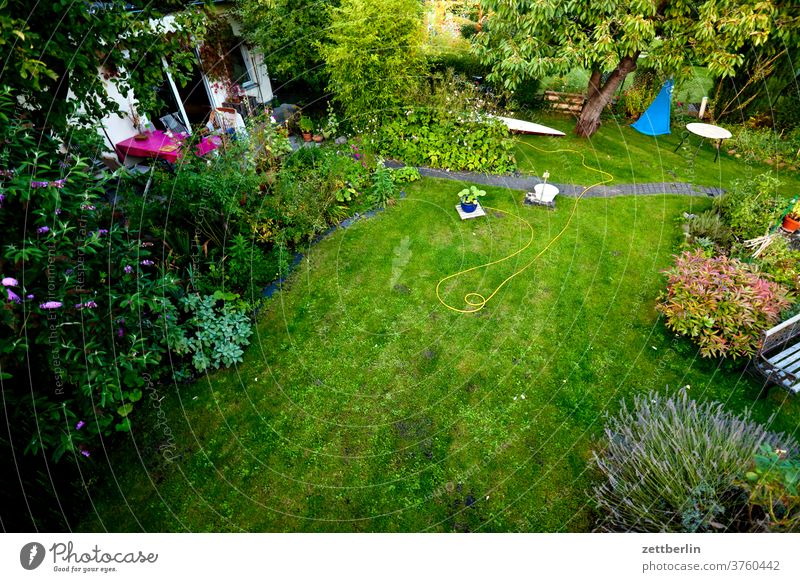 Vogelperspektive aufs Gärtchen ast baum blume blühen blüte erholung ferien garten gras himmel kleingarten kleingartenkolonie menschenleer natur pflanze rasen