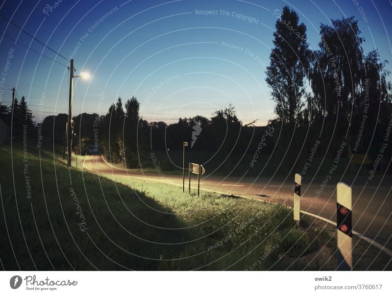 Außerhalb Panorama (Aussicht) Totale Schatten Dämmerung Textfreiraum unten Textfreiraum oben Menschenleer Außenaufnahme Farbfoto Straße Baum friedlich