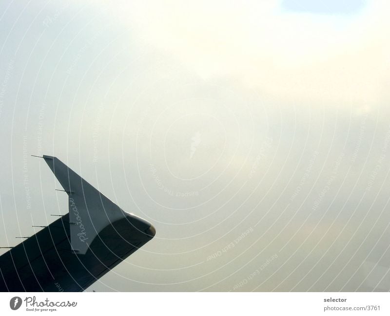 blauwal Flugzeug Wolken Ferien & Urlaub & Reisen wiederkommen oben Elektrisches Gerät Technik & Technologie Himmel Flügel Wege & Pfade