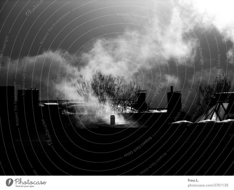 Der Winter war in der Stadt, und die Schornsteine rauchten wieder. Dächerlandschaft heizen kalt Bäume Oberlichter Klimawandel
