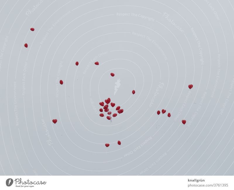 27 rote Herzluftballons die gen Himmel fliegen Luftballon Liebe Gefühle Romantik Verliebtheit Valentinstag Glück Sympathie Zeichen Lebensfreude Tag Farbfoto