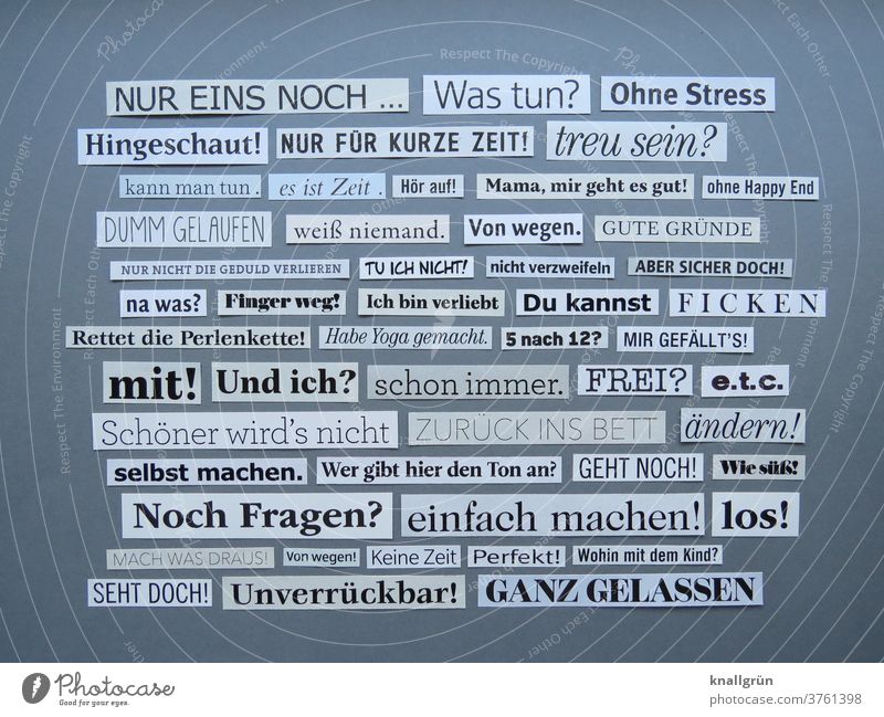 Worte Mitteilung Text Buchstaben Schriftzeichen Typographie Sprache Kommunikation Letter Kommunizieren Lateinisches Alphabet Schilder & Markierungen