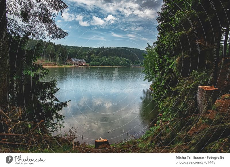 Blick auf den See Talsperre Lütsche Wasser Wald Thüringer Wald Thüringen Bäume Himmel Wolken Natur Landschaft Menschenleer Regen Idylle Außenaufnahme Farbfoto