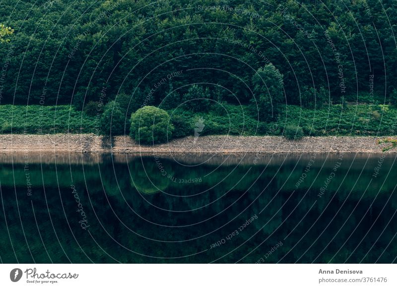 Marienkäfer-Stausee im Peak-District-Nationalpark Landschaft Baum Natur Wald Umwelt im Freien natürlich Wälder grün Saison Stimmung Nebel malerisch Kiefer Holz