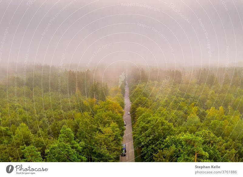 Luftaufnahme des Autoverkehrs auf einer Straße zwischen einem Wald bei Nebel, schöne neblige Sicht aus der Vogelperspektive. PKW abstrakt Baum Sommer Natur