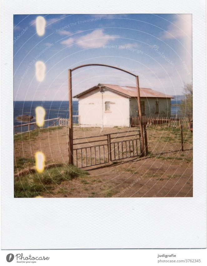 Polaroid eines isländischen Hauses Island Landschaft wohnen Einsamkeit Gebäude Außenaufnahme Menschenleer Farbfoto Hütte Wiese Fjord Eingang Tor