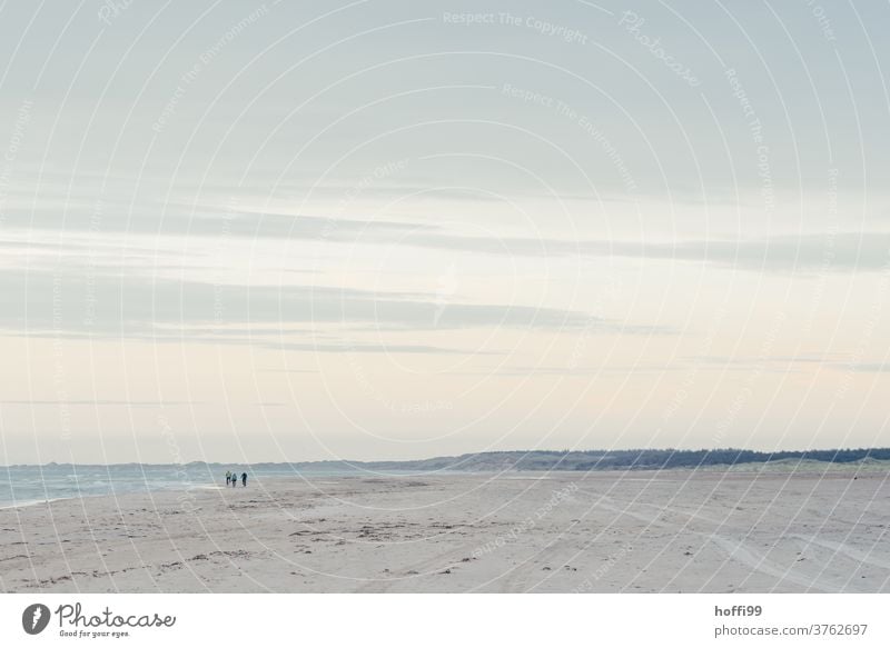 die Spaziergänger verschwinden in der Ferne - Tag am Meer Strand Sand Wattenmeer Nordsee Wasser Erholung Küste Wellen Gezeiten Flut Gischt seicht Landzunge