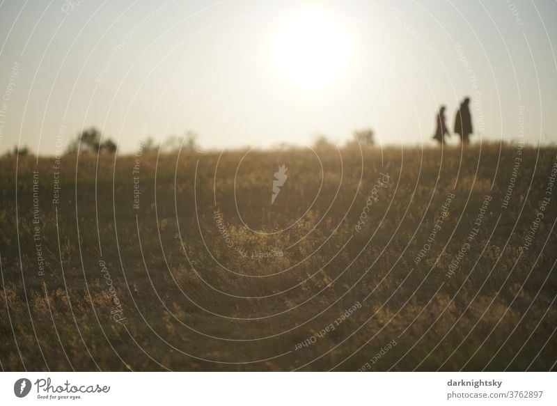 Spaziergang bei Sonnenuntergang Wandern spazieren Außenaufnahme Farbfoto Erholung Mensch wandern Natur Landschaft Erwachsene Umwelt Frau Sommer Wege & Pfade Tag