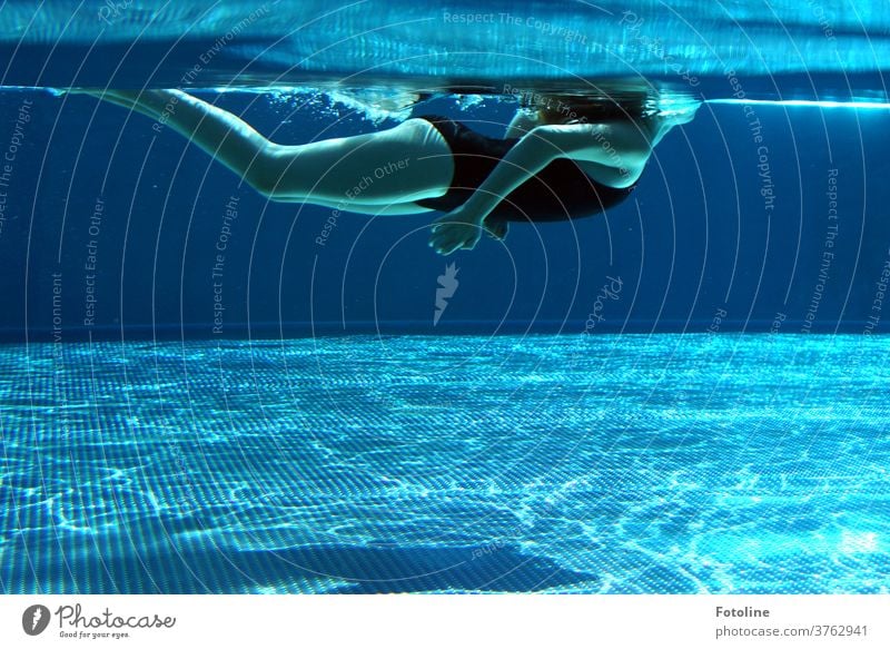 Nur mal kurz Luft holen, dann wieder abtauchen... oder ein Mädchen, das im Pool schwimmt, und nur kurz Luft holt um gleich wieder zu tauchen schwimmen blau