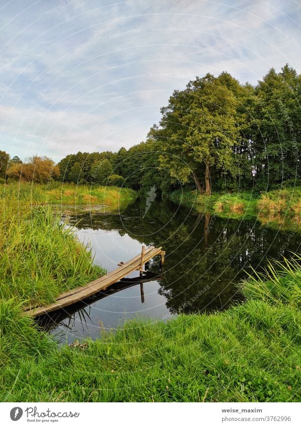 Hintergrund mit Wald am Flussufer. Platz zum Angeln am Bach. im Freien Natur Baum Fischen Wasser Sommer strömen Landschaft grün Gras Tourismus reisen fließend