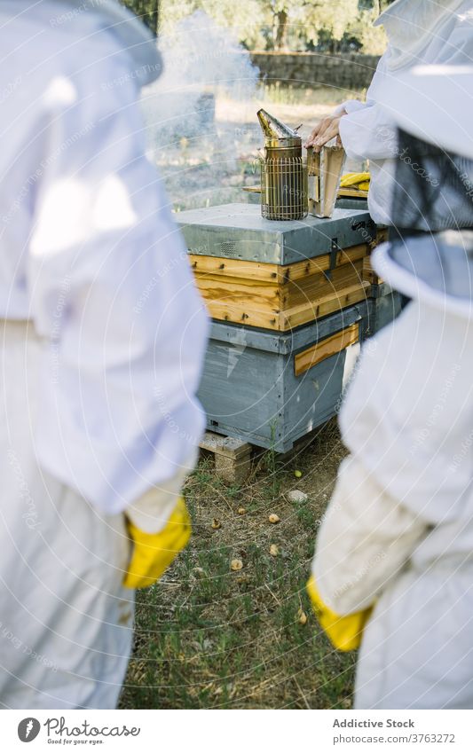 Imker bei der Arbeit im Bienenstock mit Smoker Raucherin Bienenkorb Dunst Sommer Zusammensein Garten Landschaft Arbeiter Natur Beruf Metall Gerät professionell