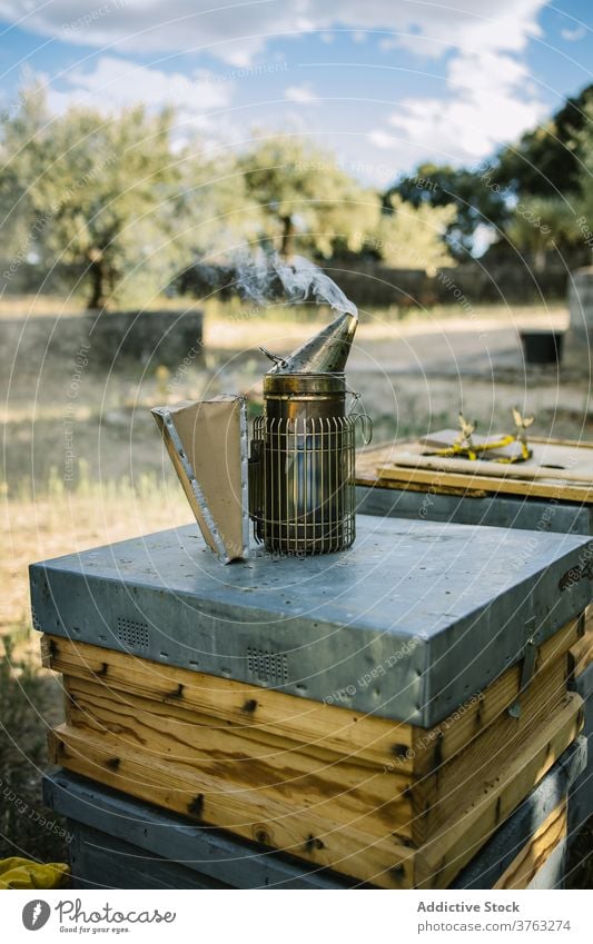 Bienenräucherung am Bienenstock im Garten Raucherin Bienenkorb Bienenzucht Dunst Sommer Landschaft Natur Metall Gerät professionell Bauernhof grün hölzern