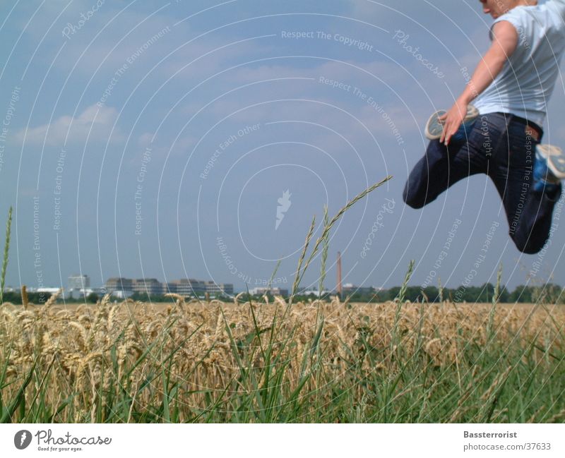 Just Fly Kornfeld Sommer springen Mann Blauer Himmel fliegen