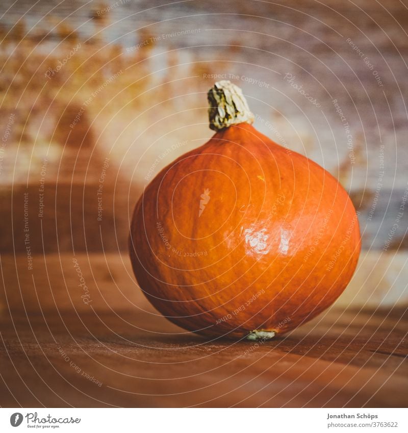 Hokkaidokürbis auf Holztisch zum Erntedank Baum Beamer Beamerprojektion Erntedankfest Experimentell Gemüse Halloween Herbst Hokaido Hokaidokürbis