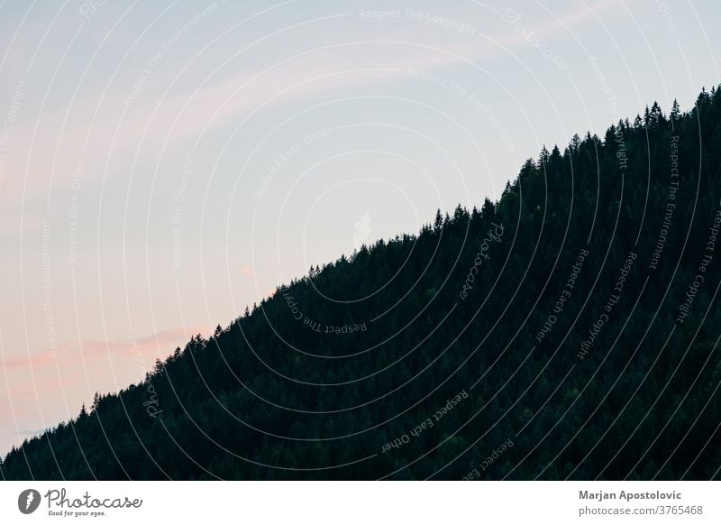 Blick auf den Wald in den Bergen Abenteuer Hintergrund schön Schönheit blau Klima Cloud Wolkenlandschaft wolkig Kumulus Tag Umwelt erkunden Freiheit grün hoch