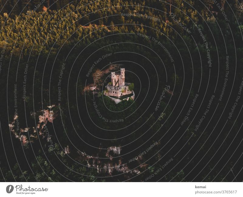 Burg auf Felsen von Wald umgeben Burgruine Ruine Turm Hügel Baum Neckartal Umwelt Natur grün morgens Morgenlicht Licht Schatten Drohnenansicht Drohnenaufnahme