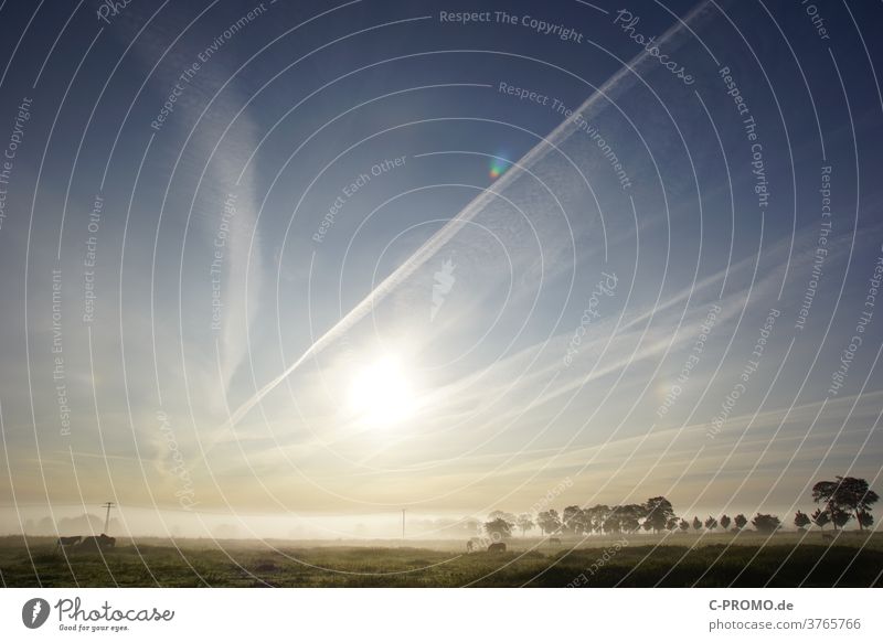 Pferdekoppel im Morgennebel Nebel Nebelstimmung Nebelschleier Bäume am Horizont Strommast Wolken Himmel Sonnenlicht Koppel Landschaft