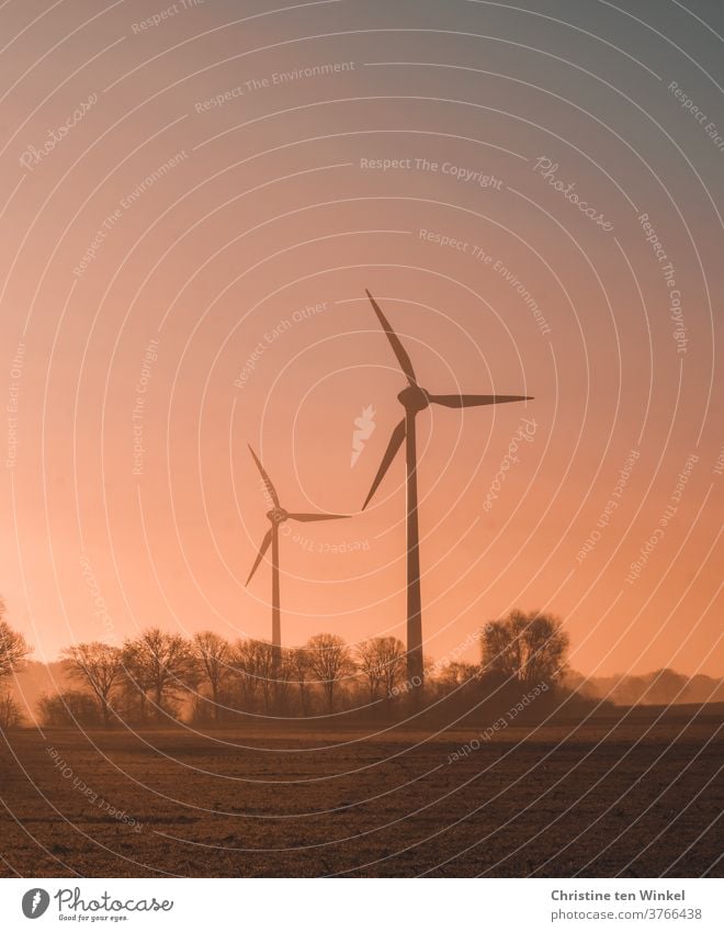 Zwei Windkraftanlagen umgeben von einer Gruppe Bäume im orangefarbenen Licht bei leicht diesigem Wetter. Im Vordergrund ein leerer Acker. Viel Himmel und Platz für Text.