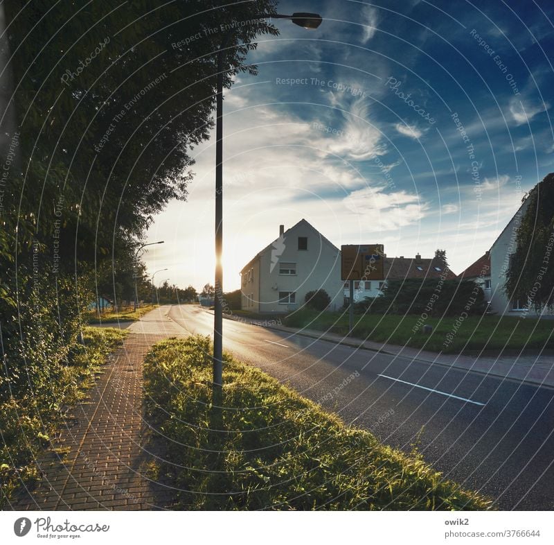 Heimweg Dorfidylle friedlich Farbfoto Außenaufnahme Menschenleer Abend Licht Schatten Kontrast Silhouette Lichterscheinung Sonnenlicht Sonnenaufgang