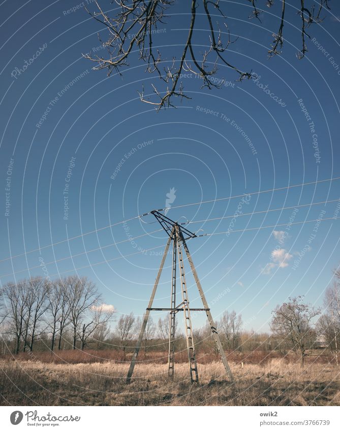 Handlich Technik & Technologie Energiewirtschaft Strommast Stromtransport Hochspannungsleitung Kabel Landschaft Wolkenloser Himmel Schönes Wetter Baum Horizont