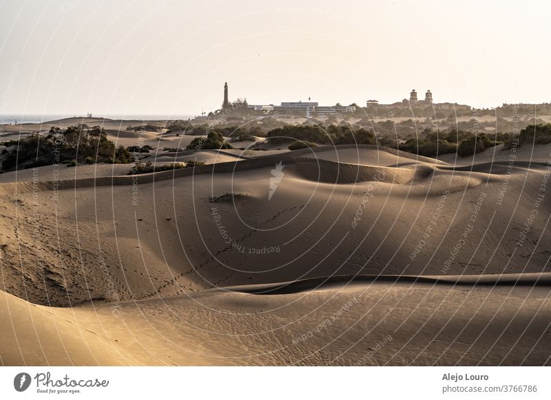 Sanddünen mit einer Stadt im Hintergrund und schönem goldenen Stundenlicht Sonnenuntergang wüst Gran Canaria Kanarische Inseln Dunes goldene Stunde Licht