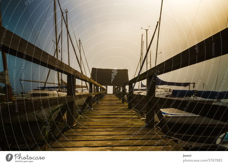 Nebelmorgen See Steg Brücke Wasser nebelig ruhig Natur einsam Stimmung Segelboote Anlegeplatz Boot Holz Landschaft Morgen Morgendämmerung Sonnenaufgang Himmel