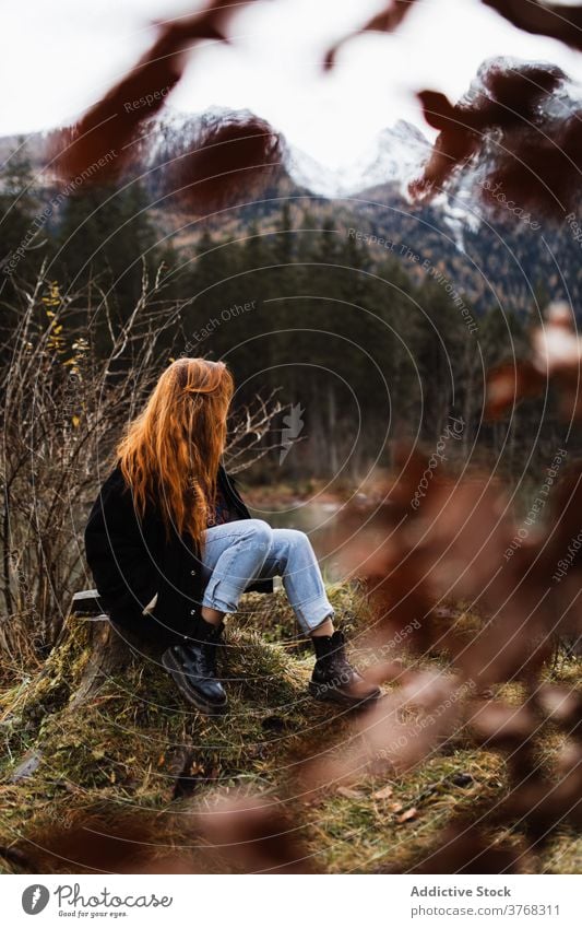 Einsame Frau bewundern Herbst Landschaft von See und Berge Berge u. Gebirge reisen Sitzen einsam Felsen Stein Gipfel Schnee Reisender Wald Windstille friedlich