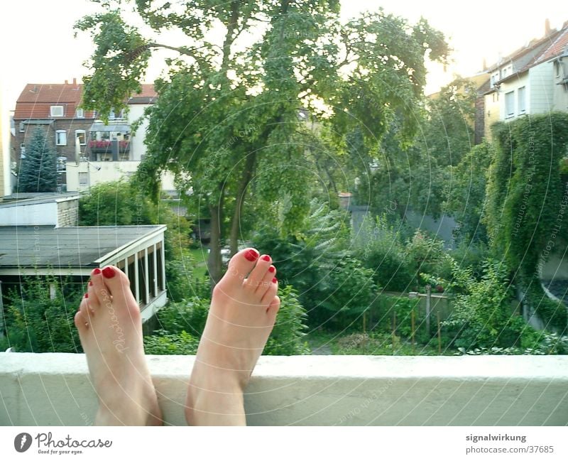 rote fussnägel Nagellack Hinterhof Sommer Balkon Baum Frau Fuß