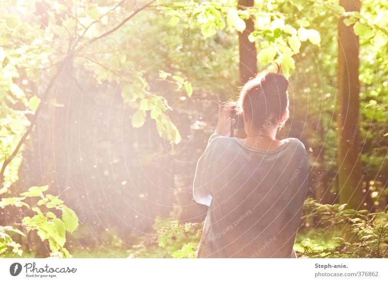 Eine Welt voller Magie feminin Junge Frau Jugendliche 1 Mensch Natur Pflanze Sonnenlicht Baum Wald Dutt beobachten genießen außergewöhnlich fantastisch schön