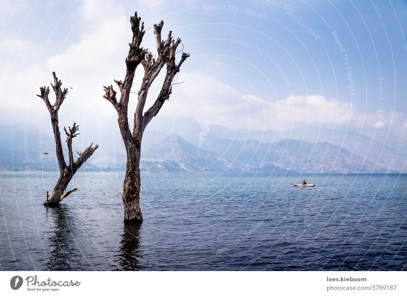 Toter Baum im Atitlansee mit Boot und Bergkette, San Pedro, Guatemala san pedro Hintergrund See Landschaft Vulkan Wasser blau Natur Himmel Berge u. Gebirge