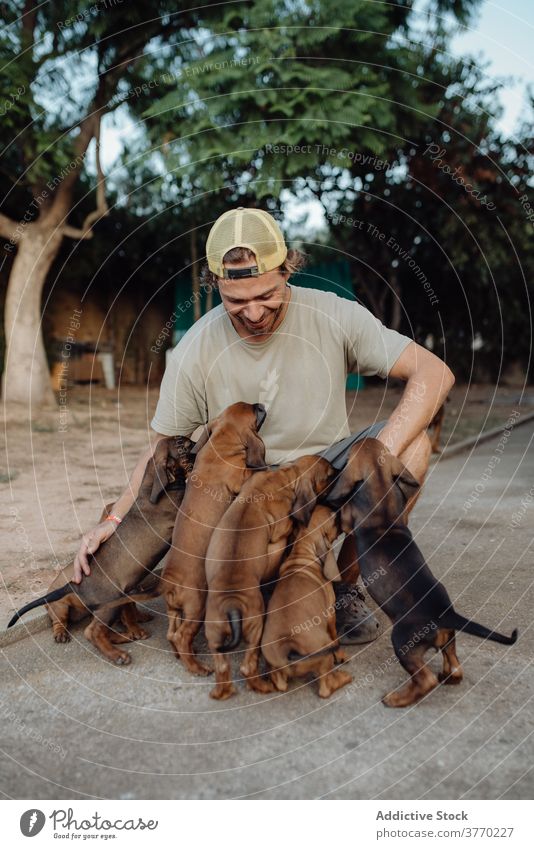 Lächelnder Mann mit niedlichen Welpen auf dem Lande Kraulen Rudel Hund Deutscher Jagdhund charmant Tier viele männlich züchten bezaubernd Haustier heimisch