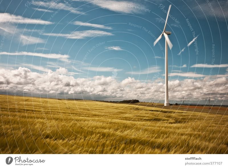 Windrad in Getreidefeld Energiewirtschaft Erneuerbare Energie Windkraftanlage Himmel Wolken Horizont Sonne Sommer Schönes Wetter Feld drehen Freundlichkeit groß