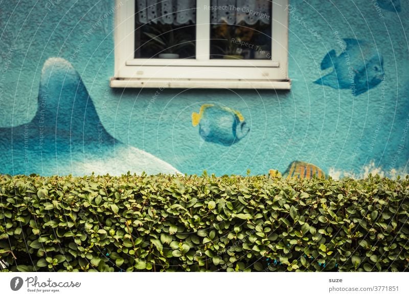 Haifischbecken mit biologischem Sichtschutz Hecke Fenster Fassade Architektur Lustig Fische Aquarium Zeichnung Stadt Haus Wand Gebäude Menschenleer Garten