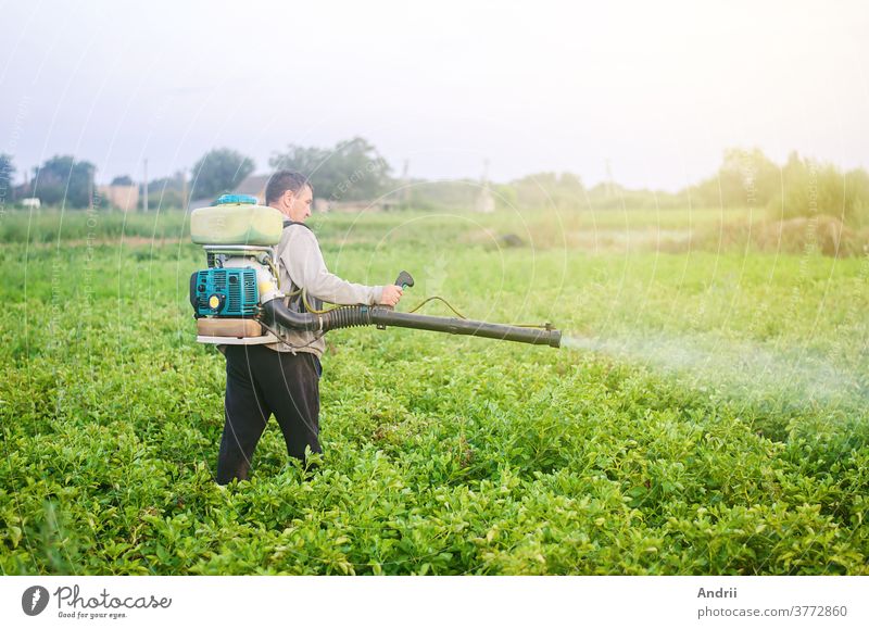 Ein Landwirt mit einem Nebelsprühgebläse bearbeitet die Kartoffelplantage vor Schädlingen und Pilzbefall. Einsatz von landwirtschaftlichen Industriechemikalien zum Schutz der Kulturen. Schutz und Pflege. Nebelgerät für Räucheranlagen.