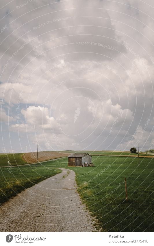 Feldweg Natur Landschaft Außenaufnahme Wiese Farbfoto Himmel Umwelt Menschenleer Gras grün Tag Sommer Wolken Wetter natürlich ländlich wandern Baden-Württemberg