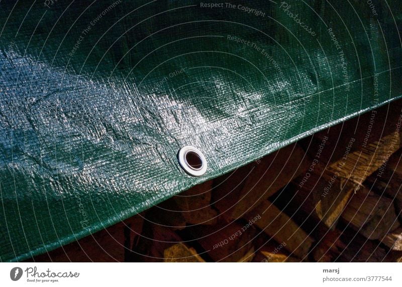 Metallöse in grüner Abdeckplane, die einen Stapel Brenn-Holz vor Nässe schützt. Öse glänzend schtu Schutz Kunststoff Detailaufnahme Strukturen & Formen Muster
