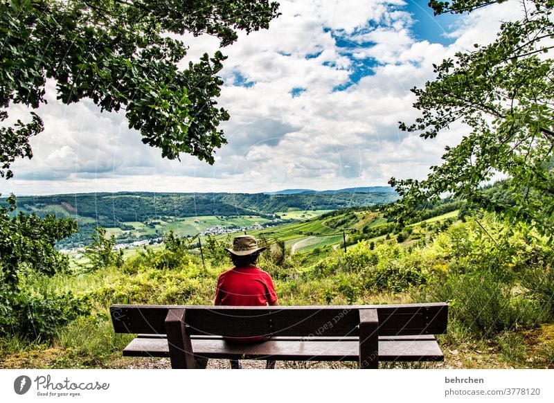 ausblicke Hunsrück Flussufer Rheinland-Pfalz Weinbau Ruhe Moseltal Idylle Landschaft Natur Außenaufnahme Weinstock wandern Sohn Umwelt Mosel (Weinbaugebiet)