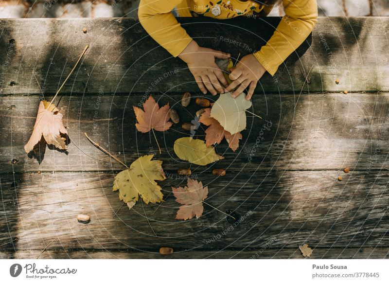 Mit Herbstblättern spielendes Kind herbstlich Herbstlaub authentisch Herbstfärbung fallen Umwelt Herbstwetter Baum Tag Außenaufnahme Natur Farbfoto Herbstbeginn