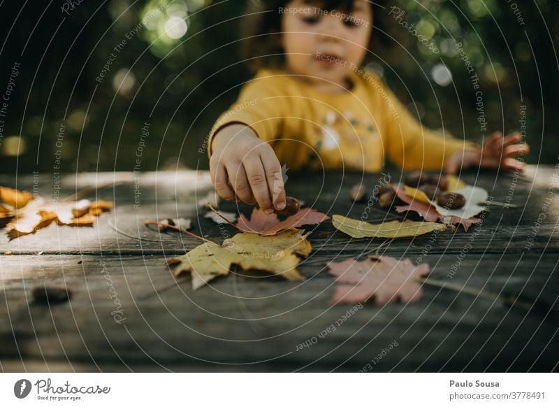 Mit Herbstblättern spielendes Kind Kindheit Herbstlaub fallen Herbstfärbung herbstlich Herbstbeginn Tag Außenaufnahme Sonnenlicht Baum Farbfoto Zweige u. Äste