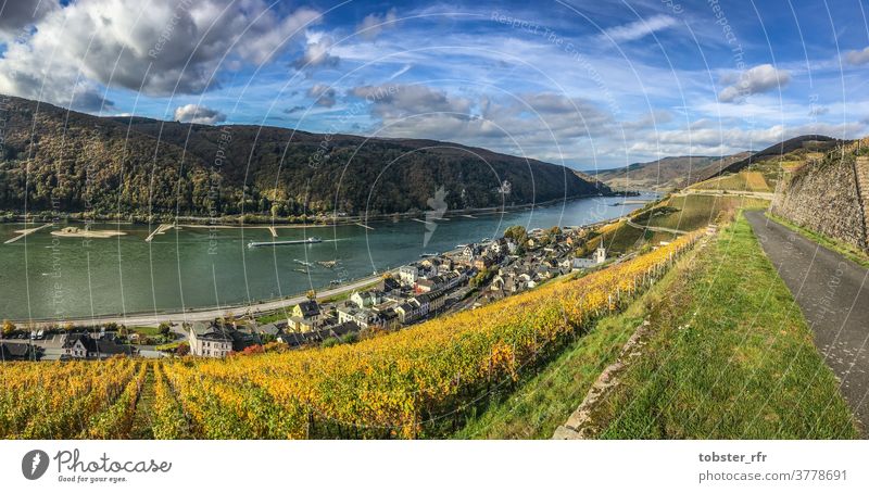 Assmannshausen am Rhein Mittelrheintal Welterbe Weinberge Weinbau