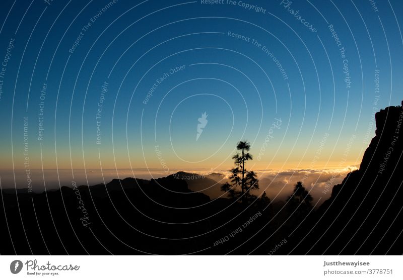 wunderschöner Sonnenuntergang am Teide Landschaft Wolken Sonnenaufgang Berge u. Gebirge Sonnenlicht Insel Teneriffa Spanien el teide sorgenfrei Natur reisen