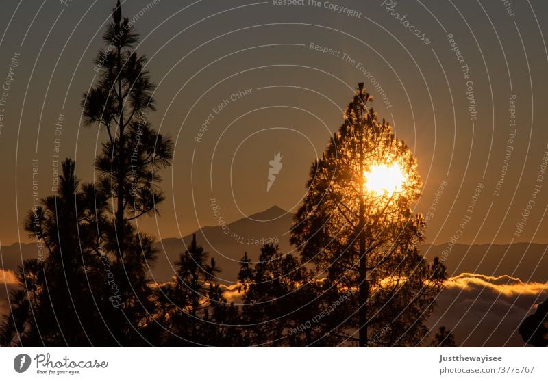 wunderschöner Sonnenuntergang am Teide Landschaft Himmel Wolken Sonnenlicht Außenaufnahme Berge u. Gebirge Teneriffa Sonnenaufgang Sommer Meer Morgendämmerung