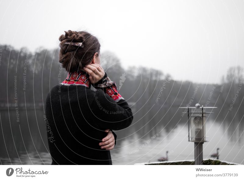 Junges Mädchen schaut nachdenklich auf den nebeligen See hinaus Nebel grau junge Frau Winter kalt blasse Farben gedeckte Farben melancholisch traurig verträumt