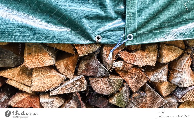 Innigst verbunden legten sich die zwei Planen, sanft aneinander angeschmiegt, aufeinander und beschützten gemeinsam den Stapel Brennholz. Gehalten nur von einer blauen Schnur und einem Nagel.