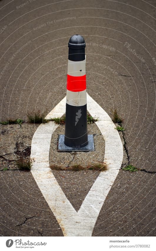 Poller auf einem Fahrradweg mit Extramarkierung asphalt abstand poller fahrradspur unfallgefahr unfallschutz verkehrsregel verkehrslenkung straße sicherheit